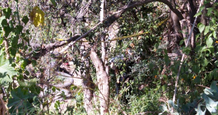 Encuentran hombre sin vida en Santa Teresa