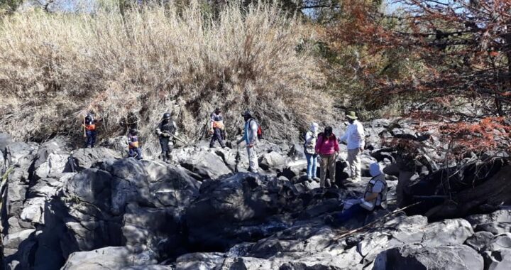 Ya son más de 60 los cuerpos hallados en fosas de Salvatierra
