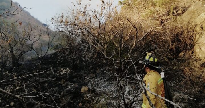 Controlan incendio de pastizal en el Cerro de la Bolita