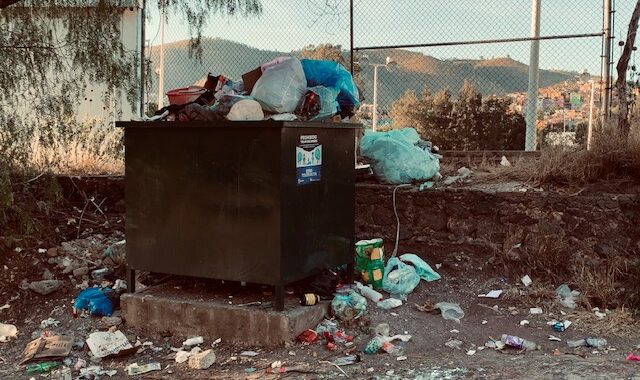 Reconoce regidora problema de basura