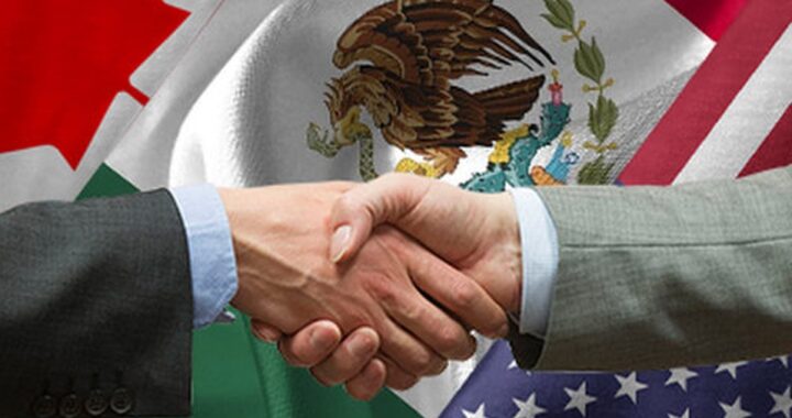 AMLO, Biden, el oso y el puerco espín