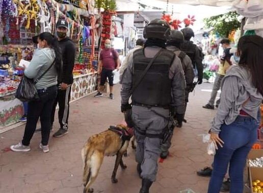 Disminuyen delitos en la capital