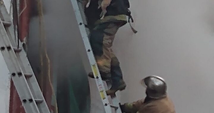 Rescata bombero a perrita