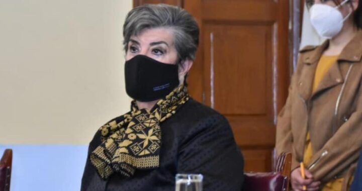 Quiere Tey ser diputada