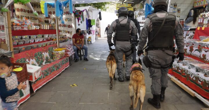 K9 vigila bancos y centros comerciales