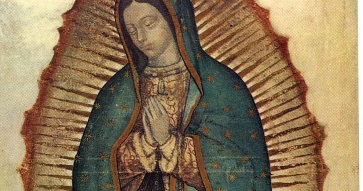 Estampas de la celebración guadalupana en Guanajuato