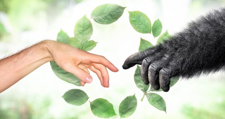 La hermenéutica, una nueva forma de interpretar la vida*