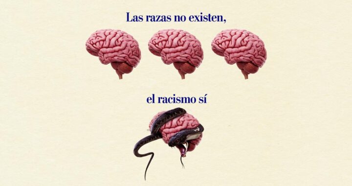 El racismo, asunto mundial a debate*