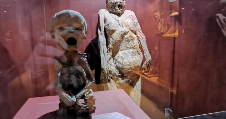 Celebra regida intervención del INAH para la preservación de las momias