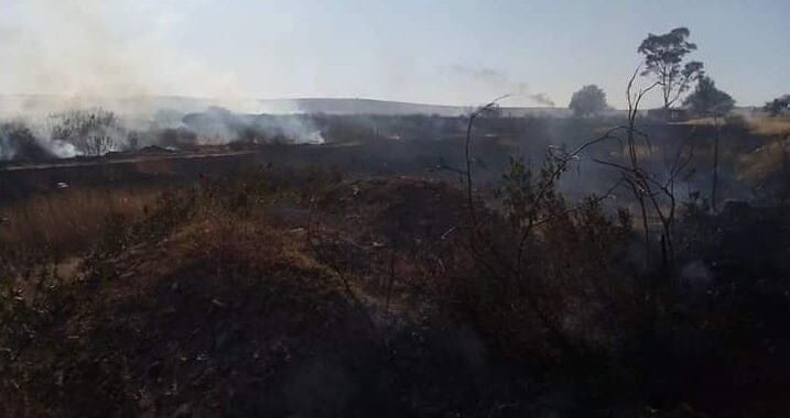 Provocan casi 200 incendios