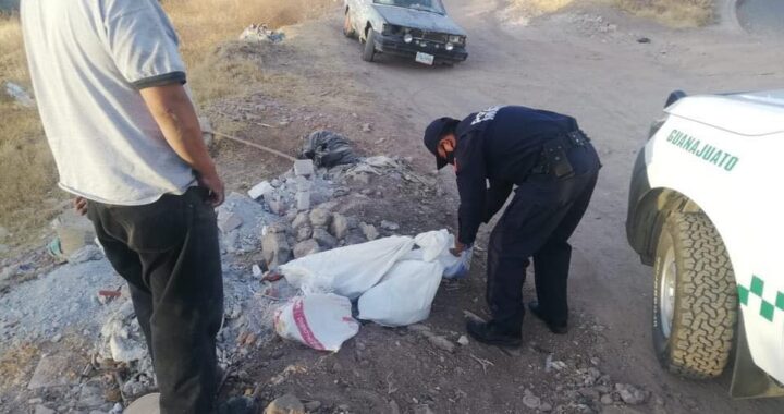 Separan de su cargo a titular de Control animal