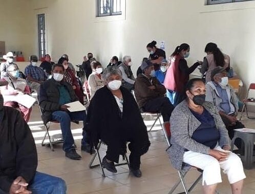 Acarreados entorpecen proceso de vacunación