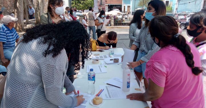 Piden sanciones para guías y taxistas acosadores