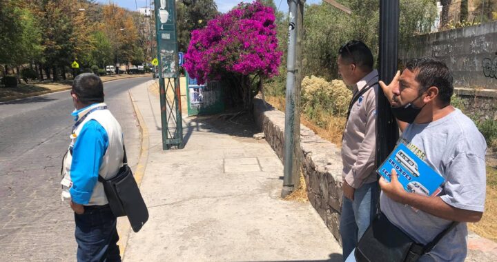 Recomiendan identificar a guías turísticos acreditados, para evitar estafas