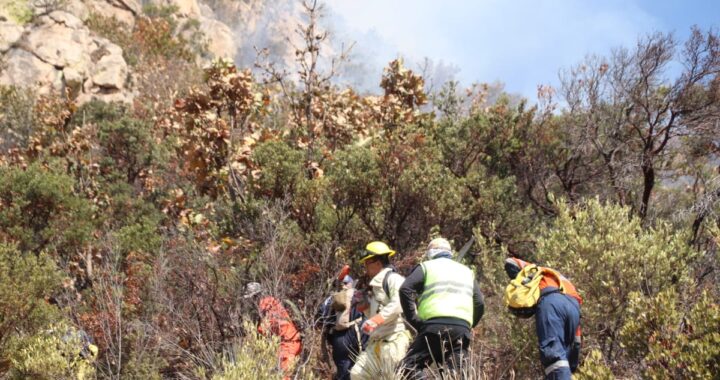 Continúan trabajos por intentar sofocar incendio en la Sierra