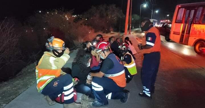 Choca camión urbano contra árbol