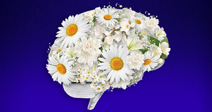 Salud mental, clave durante la pandemia*