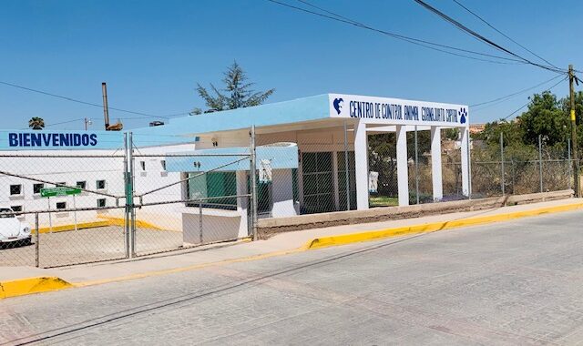 Plantea alcalde una veterinaria gratuita para la capital