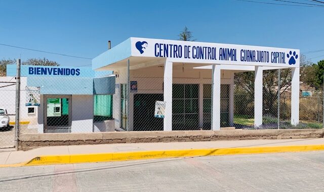 Exoneran a director del CECAA de la muerte de gatitos