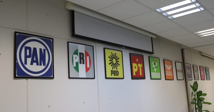 Los partidos políticos no son la mejor herramienta de apoyo para los jóvenes