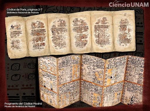 Investigadores reflexionan sobre el estado actual del patrimonio cultural del área maya