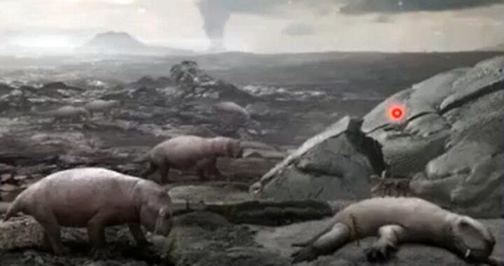 Se repiten condiciones de extinción masiva anteriores*