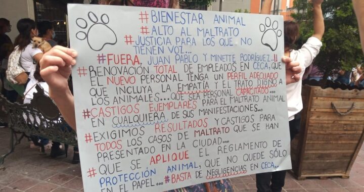 Activistas marcharon para exigir justicia a ‘oso’