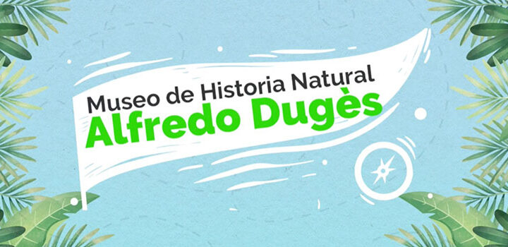 Estudiantes del CNMS de la UG vivirán experiencias virtuales en el Museo Dugès