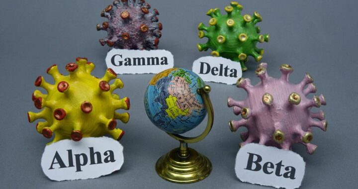 El Covid es el virus más estudiado en el mundo
