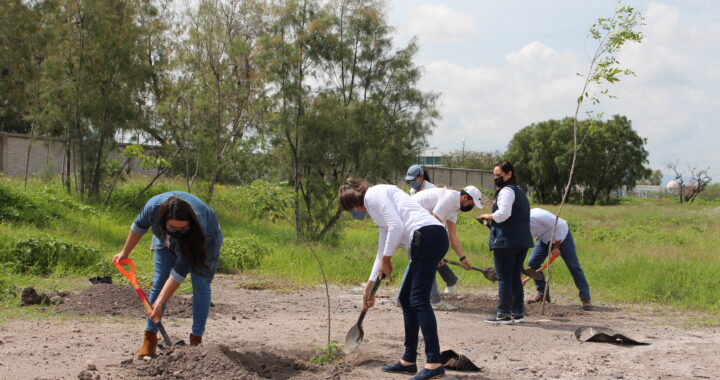 Se suma CRODE Celaya a programa de Reforestación Anual