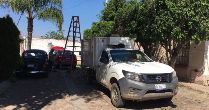 Pretende gobierno municipal cobrar por las labores de poda en domicilios particulares