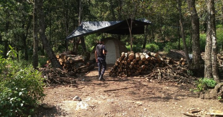 Secretaría de Seguridad Ciudadana ha interpuesto 35 denuncias por delitos ecológicos