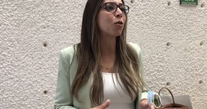 Puras grillas las que afirman que Yulma Rocha se va del PRI, dice la diputada electa