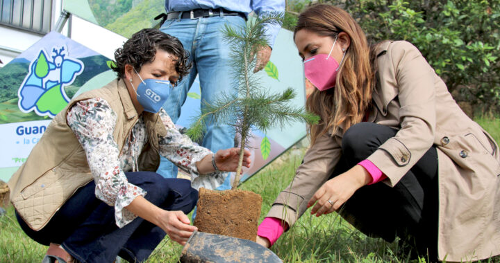 Realizan programa de reforestación en la administración estatal