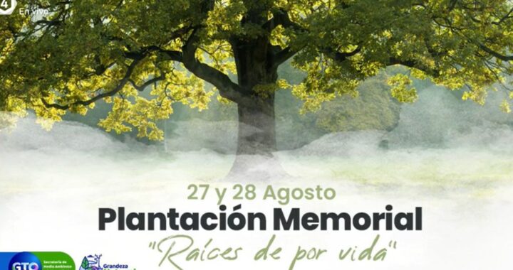 Invitan a plantar un árbol por cada persona fallecida por Covid
