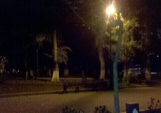 El niño del Jardín del Cantador