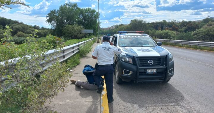 Chofer se enoja y golpea a tránsito