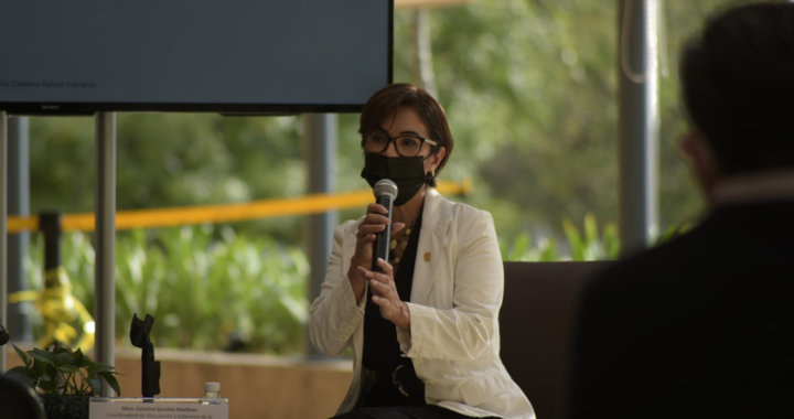 Presenta UG charla sobre arte, artesanía y cultura; una visión desde el rosa mexicano