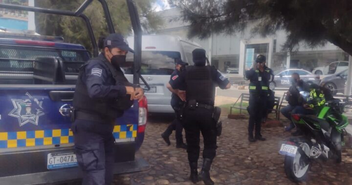 Retiran a guías de turistas incumplidos
