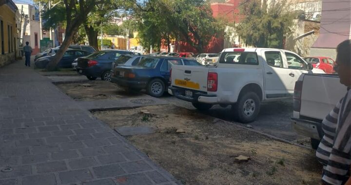 Talan cinco árboles en Paseo de la Presa