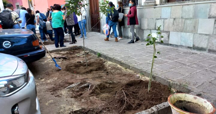 Existe gran impunidad en delitos medioambientales: GPPVEM