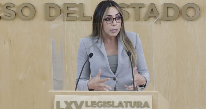 Proponen crear una policía intermunicipal para Guanajuato
