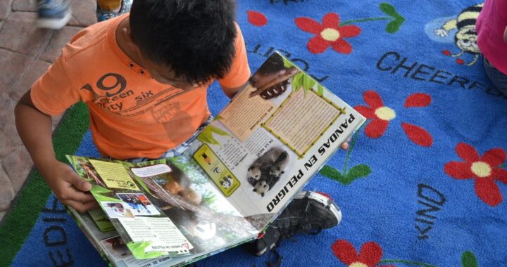 IEC, FCE Y SC realizarán el Encuentro Estatal de mediadores de lectura modalidad virtual