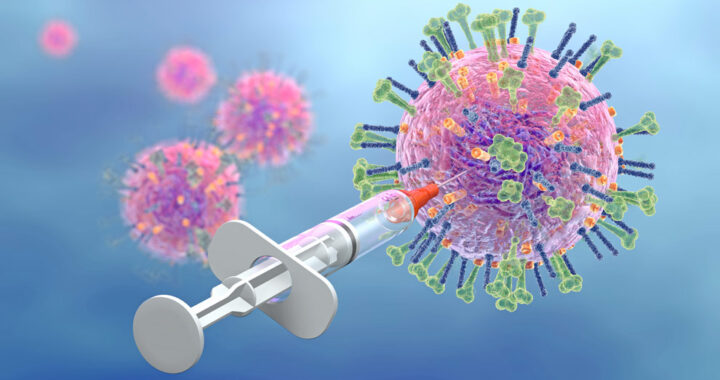 Segura, la vacuna contra la influenza*