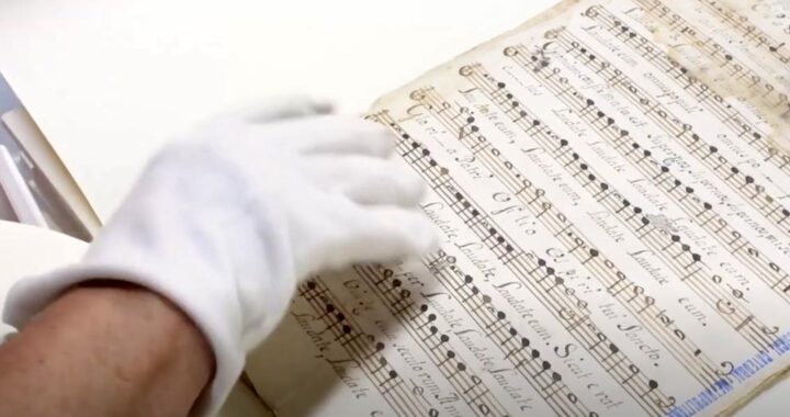 Musicat: escapar de la pandemia haciendo música*