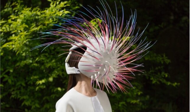 Te vas a morir de hambre