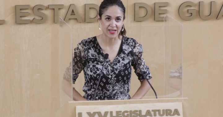 Diputada de MC exige regular criterios para analizar iniciativas en el Congreso de Guanajuato
