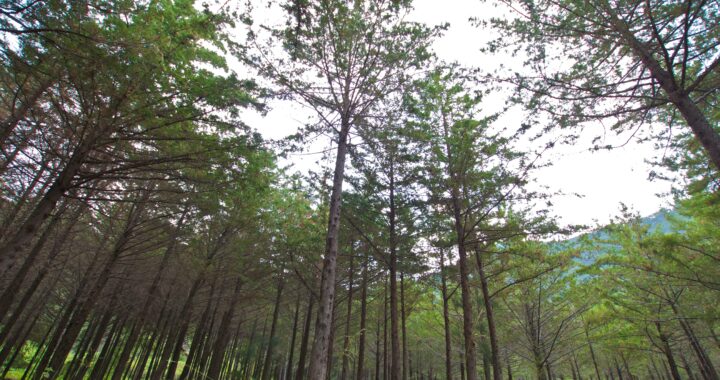 Guanajuato protege y conserva sus Áreas Naturales Protegidas