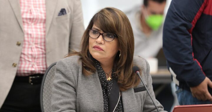 Diputada critica que obras en Guanajuato, estén bajo responsabilidad de la SEDENA