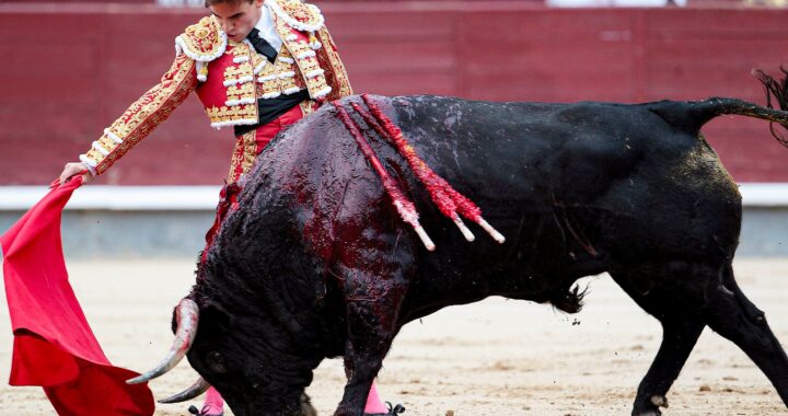 Siguen las negociaciones para agilizar la legislación de corridas de toros sin violencia